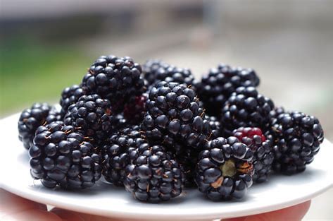 BERRY: BLACKBERRY