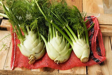 FENNEL 2LB CASE