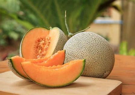 MELON: CANTALOUPE 2CT  