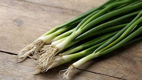 ONION: GREEN (ICELESS)