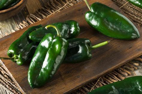 PEPPER: PASCILLA/ POBLANO    5LB CASE