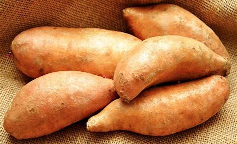 POTATO: YAM/ MEDIUM   SOLD BY THE POUND