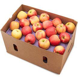 APPLE: HONEYCRISP CASE