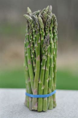 ASPARAGUS