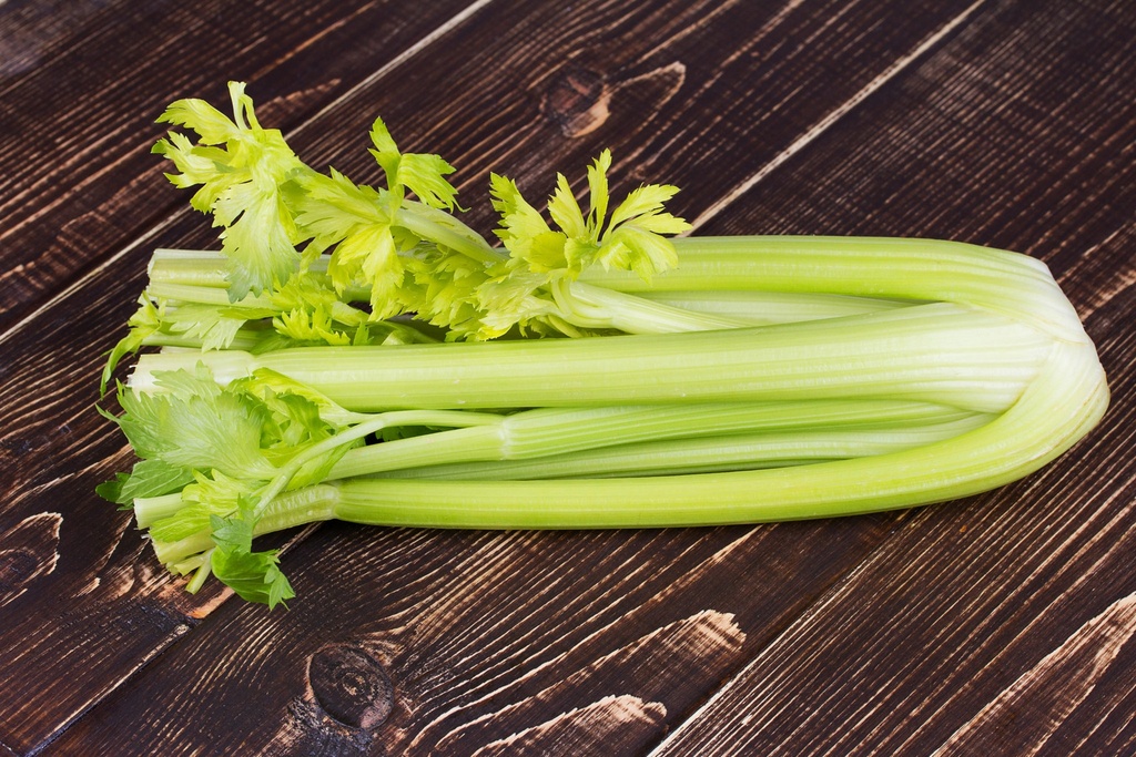 CELERY  CASE