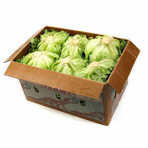 LETTUCE: ICEBERG  CASE