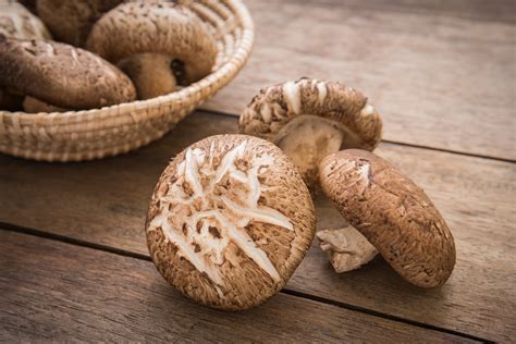 MUSHROOM: SHIITAKE