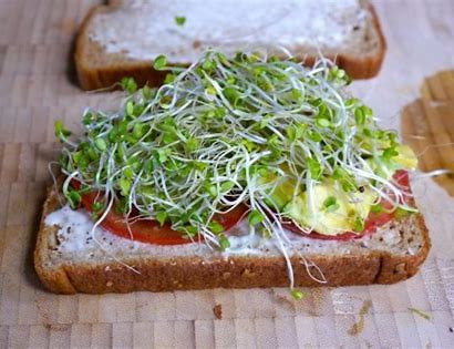 MICROGREEN: SANDWICH SPROUT