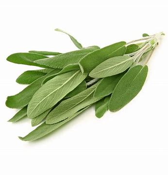 HERB: SAGE