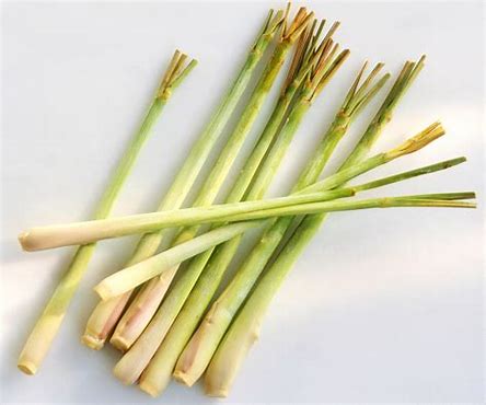 LEMONGRASS