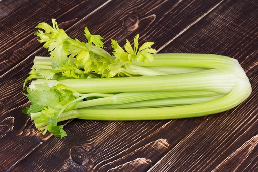 [031-01255] CELERY 1CT