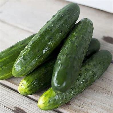 [031-01267] CUCUMBER  5LB CASE