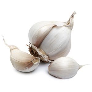 [031-01304] GARLIC (UNPEELED) 1LB