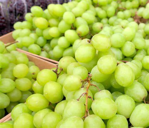 [031-01037] GRAPE: GREEN SEEDLESS  2# BAG