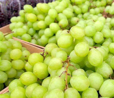 [031-01037] GRAPE: GREEN SEEDLESS  