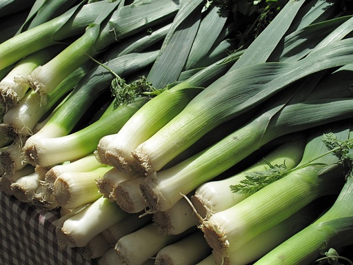 [031-01952] LEEK 4LB CASE