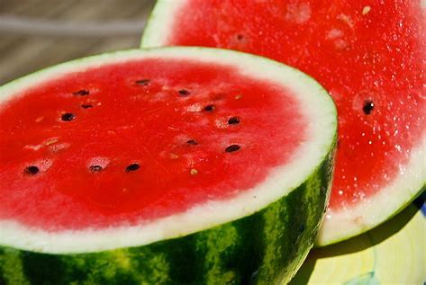 [015-02285] MELON: WATERMELON w/ SEED   CASE