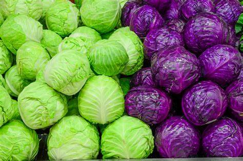 [016-01210] CABBAGE: GREEN  BY THE CASE