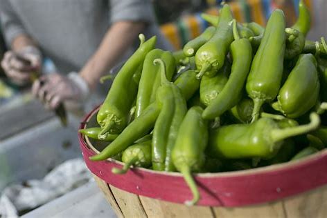 [016-02260] PEPPER: ANAHEIM