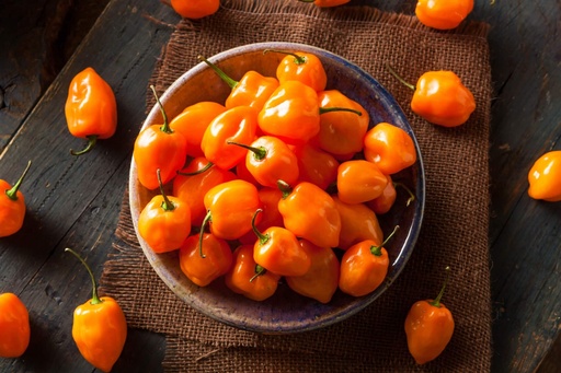 [016-02261] PEPPER: HABANERO    BY THE POUND