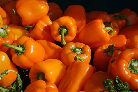 [016-02209] PEPPER: ORANGE BELL HOTHOUSE  CASE