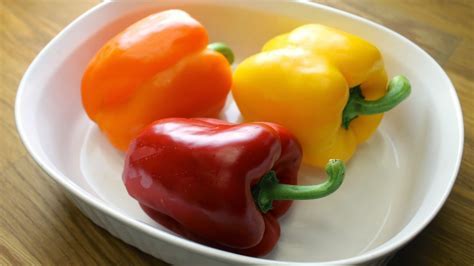 [016-02221] PEPPER: TRI-COLOR BELL