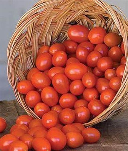 [022-01662] TOMATO: GRAPE  BY THE POUND 