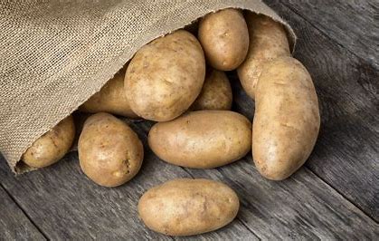 [024-01244] POTATO: BAKER 50CT  NORKOTAH 