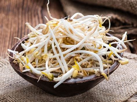 [016-02863] MICROGREEN: BEAN SPROUT 5#