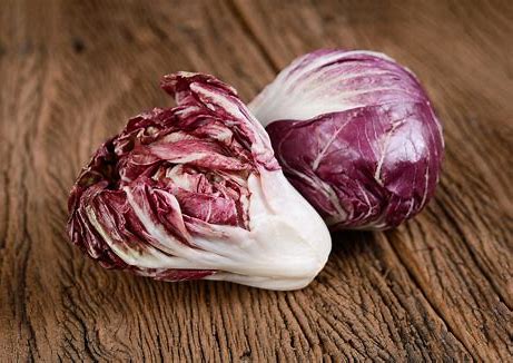 [017-01120] RADICCHIO