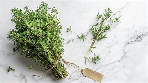 [017-03104] HERB: THYME 