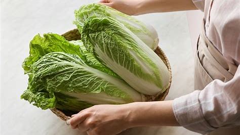 [016-02138] CABBAGE: NAPA   CASE