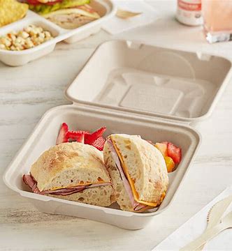 [1063204] TOGO: 9" X 9" SINGLE COMPARTMENT TRAY